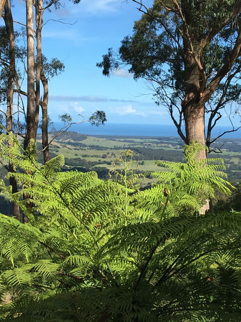 Escarpment - Holiday Jervis Bay 0