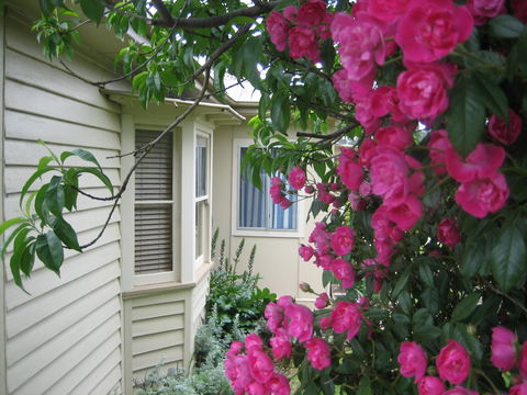 Valley Views Bed And Breakfast - Holiday Jervis Bay 0