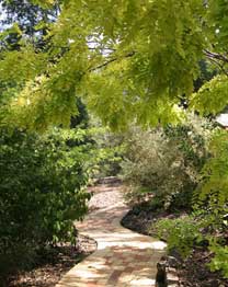 Eagle Hammer Cottages - Holiday Jervis Bay 0