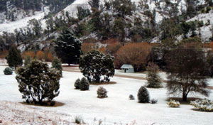 Omeo Caravan Park - Holiday Jervis Bay 1