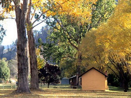 Omeo Caravan Park - Holiday Jervis Bay 4