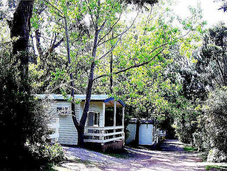 Flinders Caravan Park - Holiday Jervis Bay 0