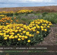 Alpine View Apartments - Holiday Jervis Bay