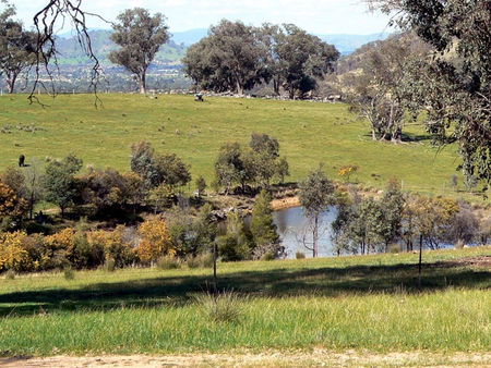 Gaddleen Grove Cottages - Holiday Jervis Bay 3