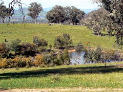 Gaddleen Grove Cottages - Holiday Jervis Bay 5