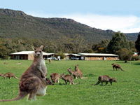 Halls Gap Log Cabins - Holiday Jervis Bay 2