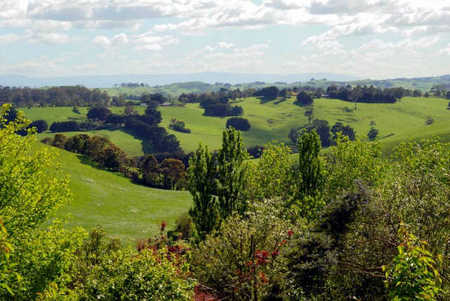 Bellview Hill - Holiday Jervis Bay 2