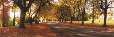 La Trobe At Beechworth - Holiday Jervis Bay 0