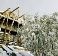 Silverski - Holiday Jervis Bay