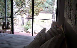 Glengarriff Town Houses - Holiday Jervis Bay 0