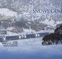 Snowy Gums Chalet - Holiday Jervis Bay