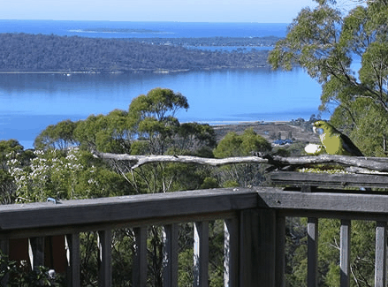 Bed in the Treetops - Holiday Jervis Bay