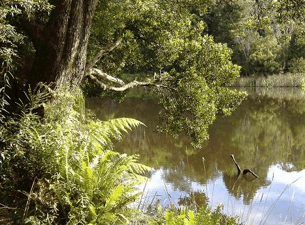  Holiday Jervis Bay