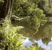 Weldborough Hotel - Holiday Jervis Bay
