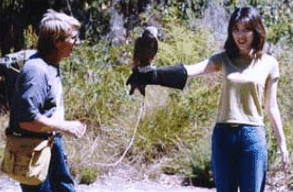 Eagles Heritage Raptor Wildlife Centre - Holiday Jervis Bay 2