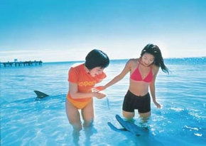 Success WA Holiday Jervis Bay