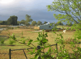 The House Of Honey - Holiday Jervis Bay 2