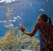 The Aquarium of Western Australia - Holiday Jervis Bay