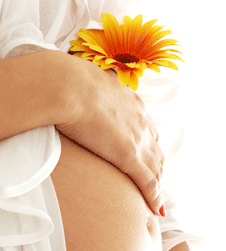 Glow Retreat - Holiday Jervis Bay 1