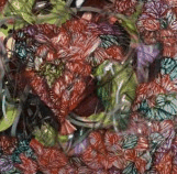 Jan Murphy Gallery - thumb 3