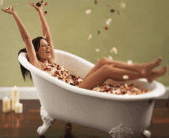 Toowong Village - Holiday Jervis Bay 0