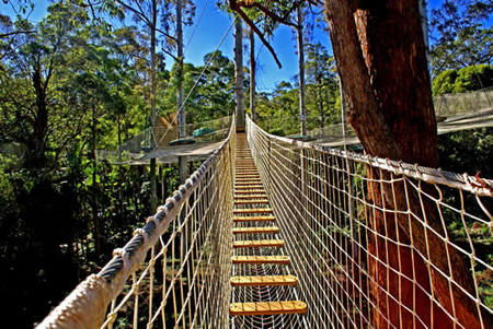 Gold Coast Hinterland QLD Holiday Jervis Bay