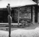 The Baldessin Press - Holiday Jervis Bay