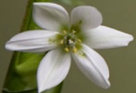 Soul Treat - Holiday Jervis Bay 2