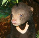 Perth Zoo - Holiday Jervis Bay