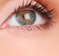 Cinnamon Stix Hair  Day Spa - Holiday Jervis Bay