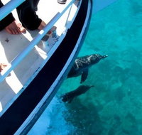 Pelican Charters - Holiday Jervis Bay