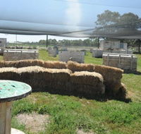 We Are Paintball - Holiday Jervis Bay