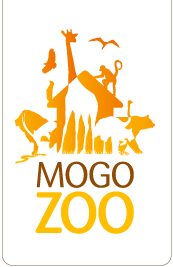 Mogo Zoo - Holiday Jervis Bay