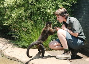 National Zoo & Aquarium - Holiday Jervis Bay 1