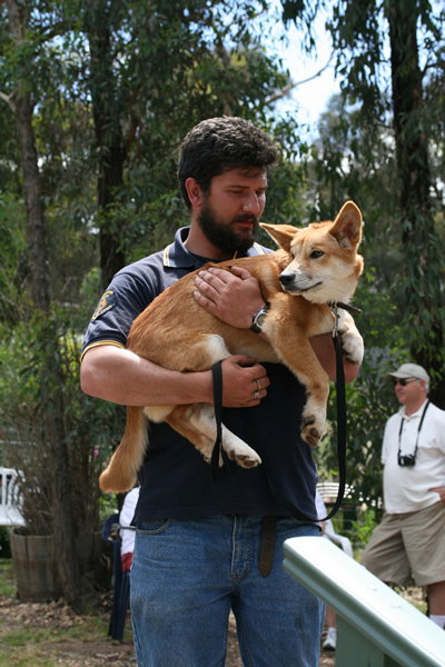 Jirrahlinga Koala & Wildlife Sanctuary - Holiday Jervis Bay 2