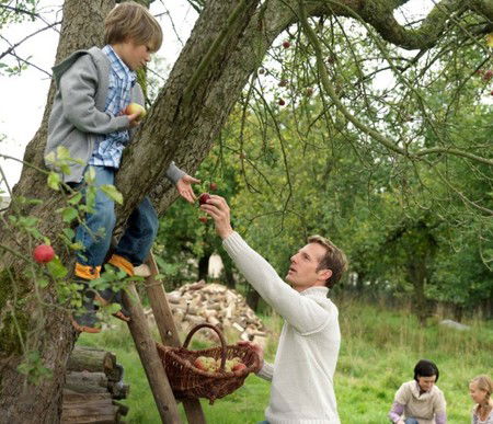 Eastland Shopping Centre - Holiday Jervis Bay 3