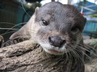 Underwater World - Holiday Jervis Bay 1