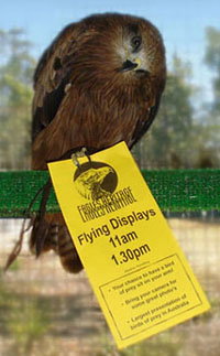 Eagles Heritage - Holiday Jervis Bay 1