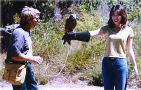 Eagles Heritage - Holiday Jervis Bay 2