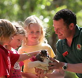 Cleland Wildlife Park - Holiday Jervis Bay