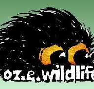 OZe Wildlife - Holiday Jervis Bay