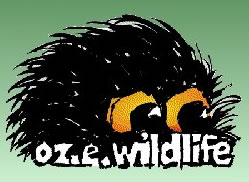 OZe Wildlife - Holiday Jervis Bay 0