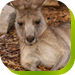 Abbotsbury NSW Holiday Jervis Bay