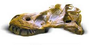 Australia Walkabout Wildlife Park - Holiday Jervis Bay 2