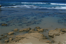 Canberra Contemporary Art Space - Holiday Jervis Bay