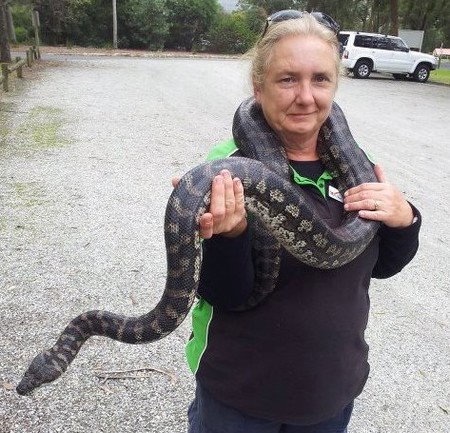 Gumbuya Park - Holiday Jervis Bay 2