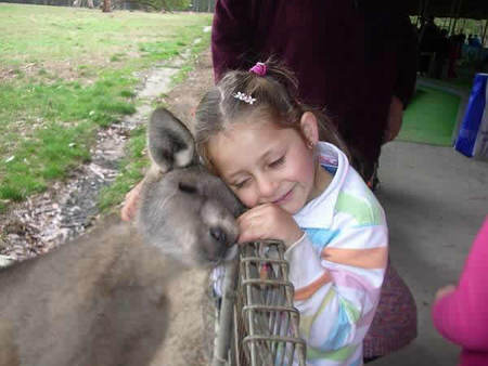 Gumbuya Park - Holiday Jervis Bay 3