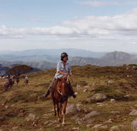 High Country Horses - Holiday Jervis Bay