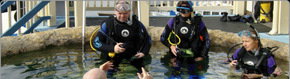 Scuba World - Holiday Jervis Bay 2