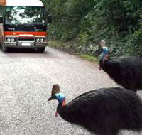 Kookaburra Tours - Holiday Jervis Bay